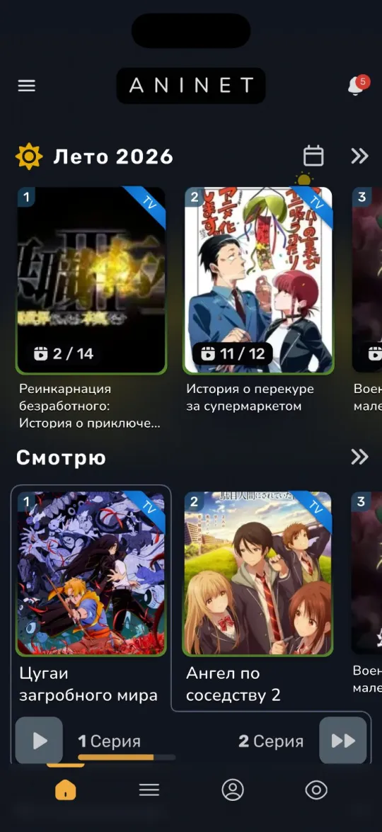 Приложение AniNet на iPhone