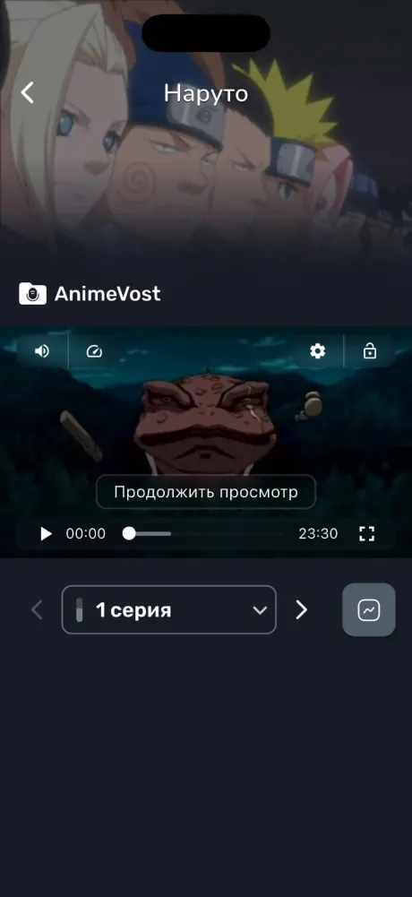 AniNet на iPhone: плеер